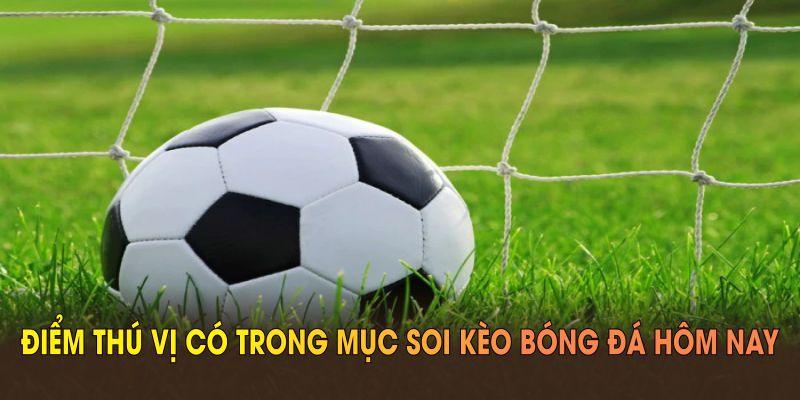 Những điểm thú vị có trong mục soi kèo bóng đá hôm nay tại 23WIN