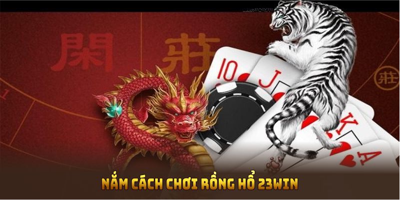 Nắm cách chơi rồng hổ 23WIN sẽ tăng tỷ lệ chiến thắng