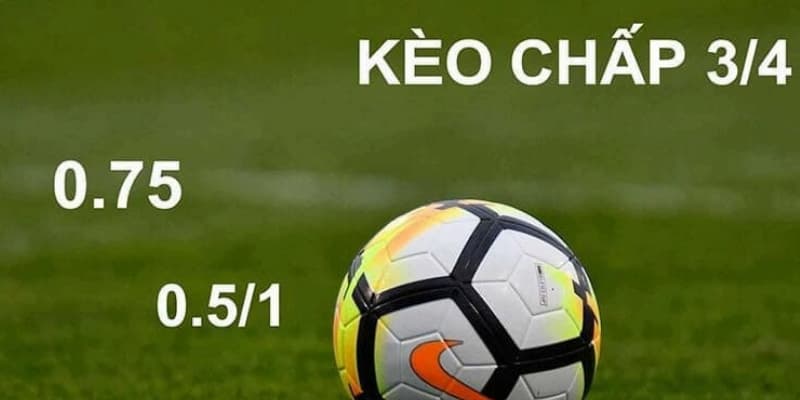 Tỷ lệ chấp đa dạng nhiều lựa chọn